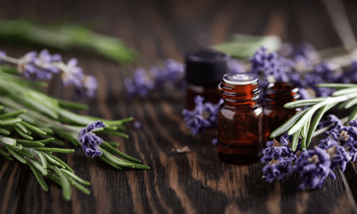 Benefits of Using Lavender Essential Oil