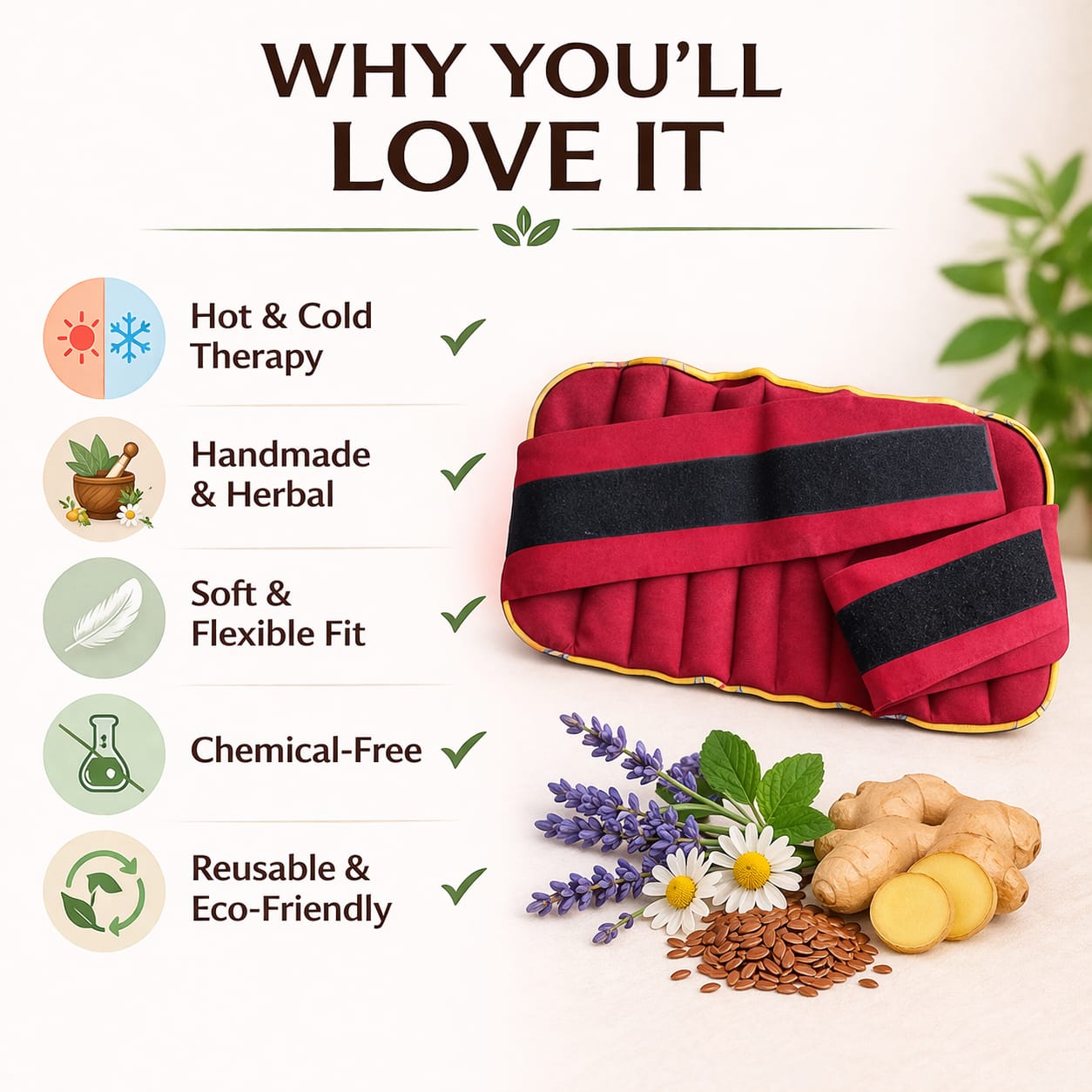 Back Therapy Pack